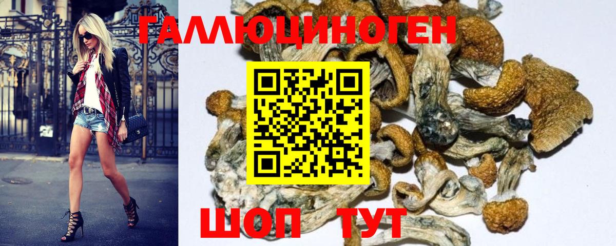 Псилоцибиновые грибы Magic Shrooms Гурьевск
